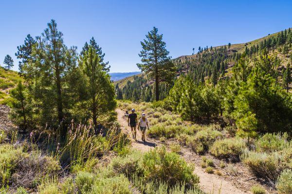 Hike Ash Canyon Trails