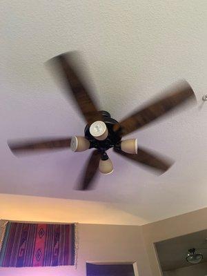 The fan