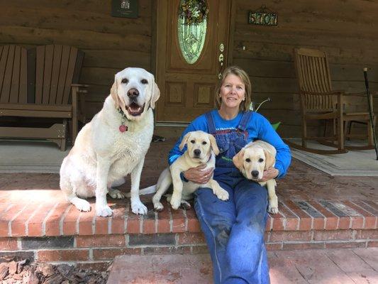 Our puppies Jessie and Bo Peep meeting our older dog Jerry.