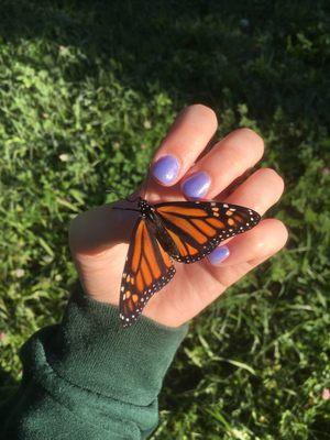 Classy nails done by Classy Nails Salon.