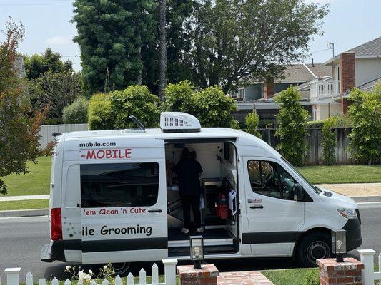 Grooming van right in front of our house