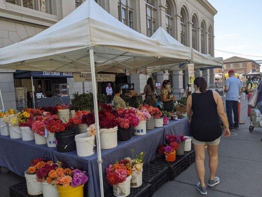 Saturday Ferry Farmers Market stand, shelter in place