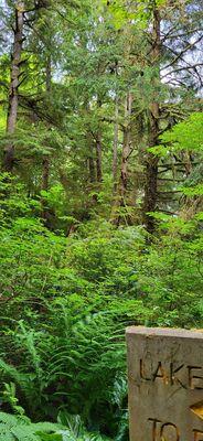 Walking nature trail