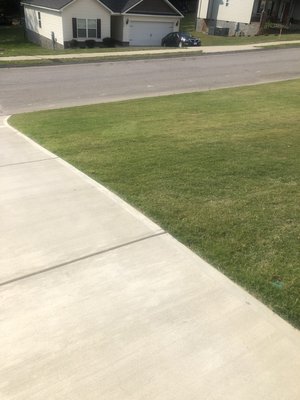 Lawn mowed and edging of driveway