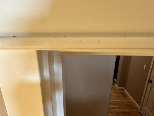 Door frame dust