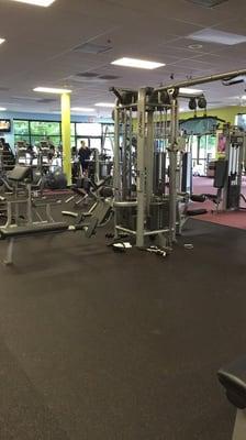 The gym