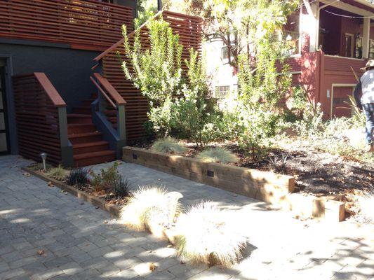 Pavers and Native Plants