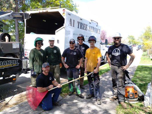 The tree trimming crew!