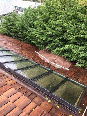 Tarp on kitchen skylight