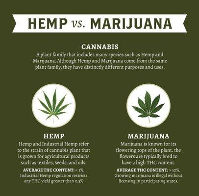 Hemp vs Marijuana