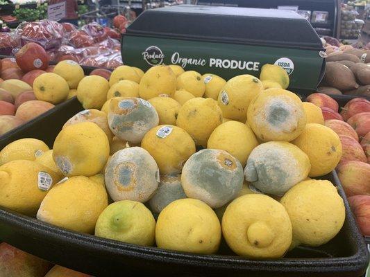 The organic lemons at Albertsons Esco.