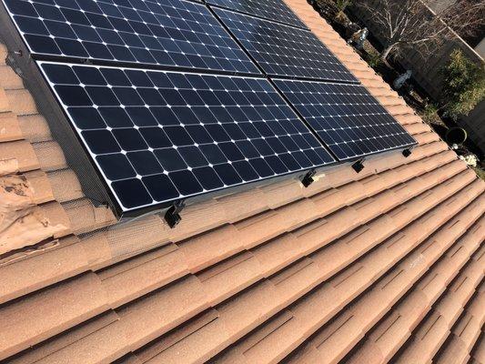 Residential Solar Panel Bird Abatement