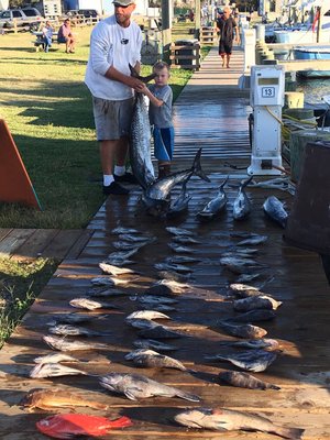 Fin Seeker Sport Fishing Charters