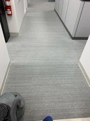 Carpet results in a office.  Turned out like new