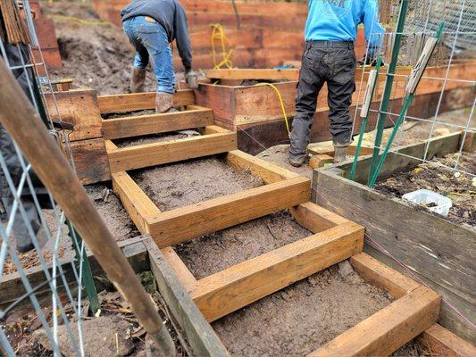 Garden structures in SW Portland including large planter boxes and timber steps