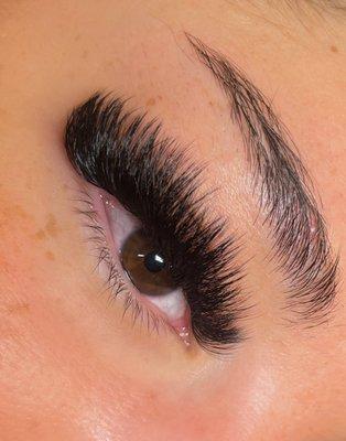 Volume lash extensions