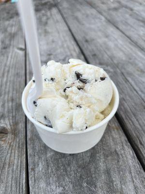 1 scoop chocolate chip