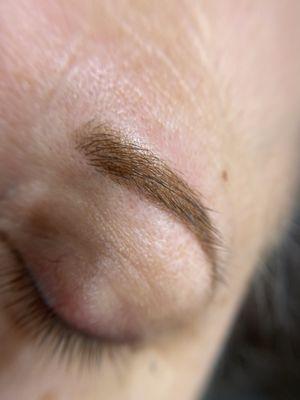 Upclose Macro pic of a powder brow.  Soft natural looking permanent makeup