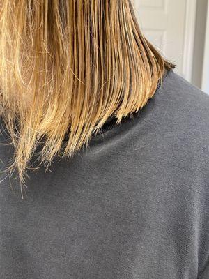 Fantastic Sams Cut & Color