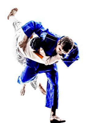 Martial arts school, Olympic judo, self defense, grappling