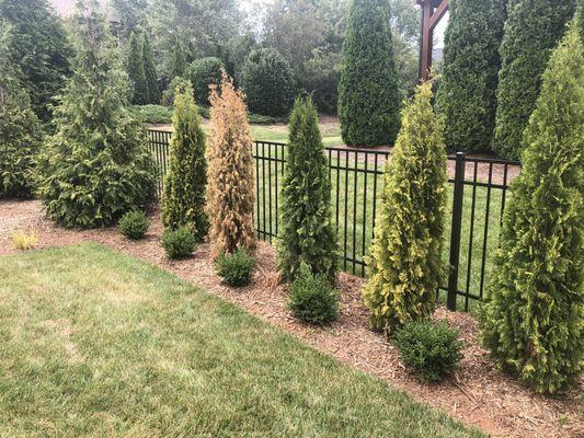 This is my $40k landscape renovation by Allium landscaping.