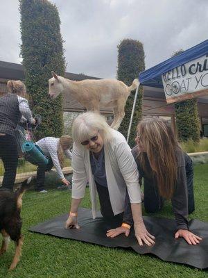 Billy Goat Yoga