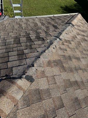 Missing ridge cap shingles