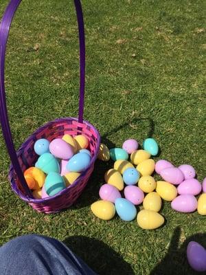 All my daughter's eggs. She won a basket.