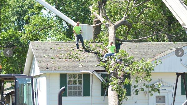 Kachur Tree Service