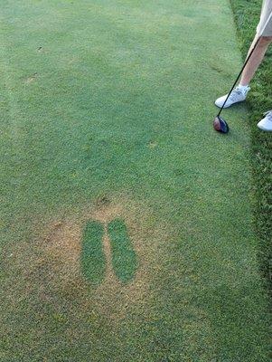 Be sure not to spray on your sunscreen on any grass surfaces!