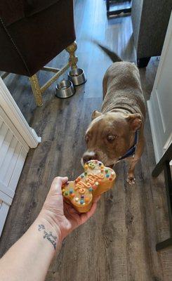 Look at those eyes... can't wait for his first bite of his special cake!