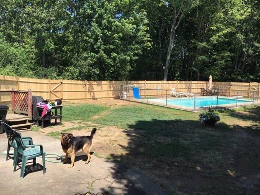 Finished this yard. And the dog stood guard!