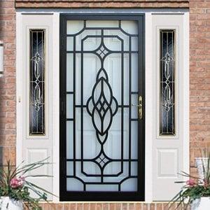 Security Storm Door