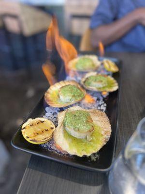 Scallops appetizer which arrived to our table on fire. Very cool