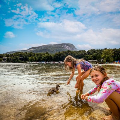 Guests playing on beach and feeding ducks.