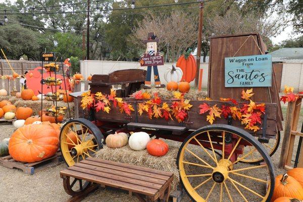 Great fall displays