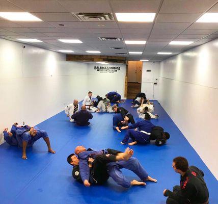 BJJ training