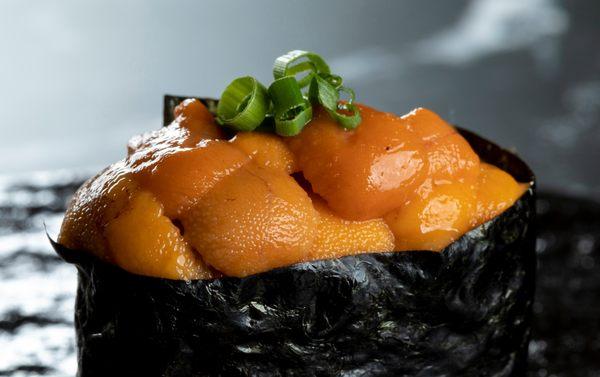 Sea urchin - from Hokkaido Japan