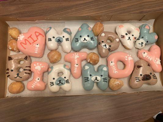 Cat theme birthday donuts