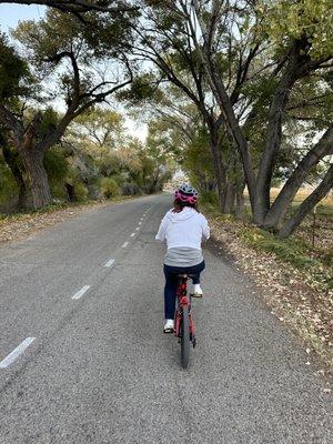 Paved portion of the lake loop