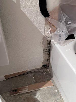 Mold in bathroom not found by inspector, discovered during renovations.