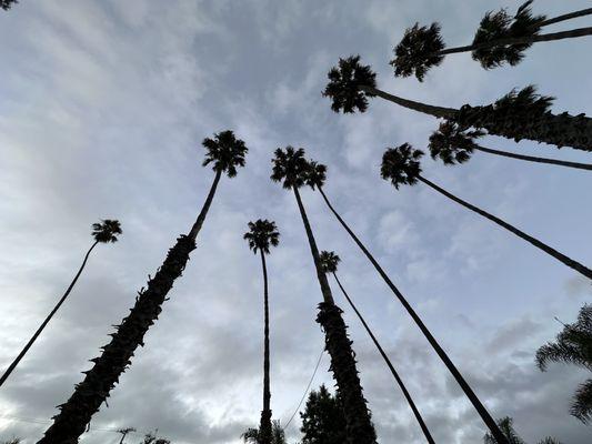 Arroyo Verde Park