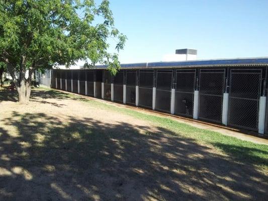 A view of the indoor /outdoor runs from the outside.