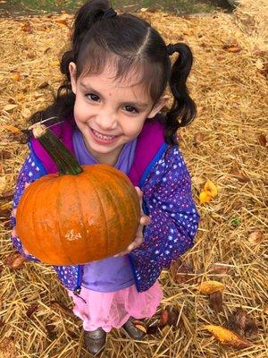 Zay at the annual Learning Land Pumpkin Patch