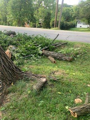 Large debris left right next to busy main road