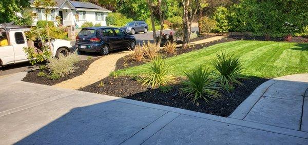 Install new landscape in Moraga, Ca.