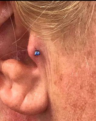 Tragus by Fred