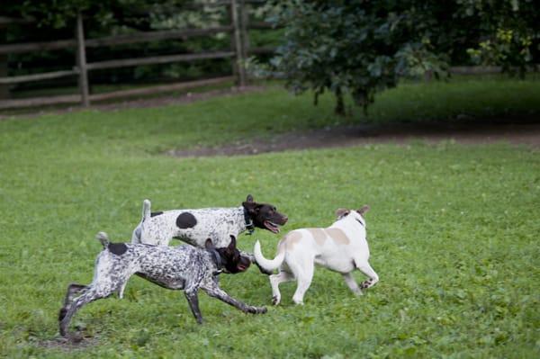 Friendly races!