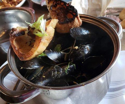 Mussels Pot