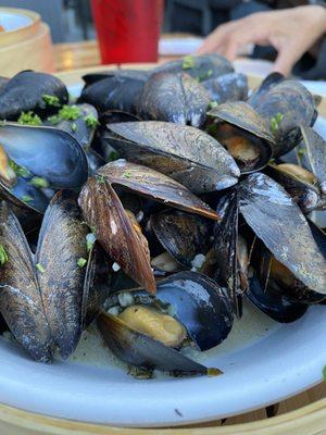 Mussels